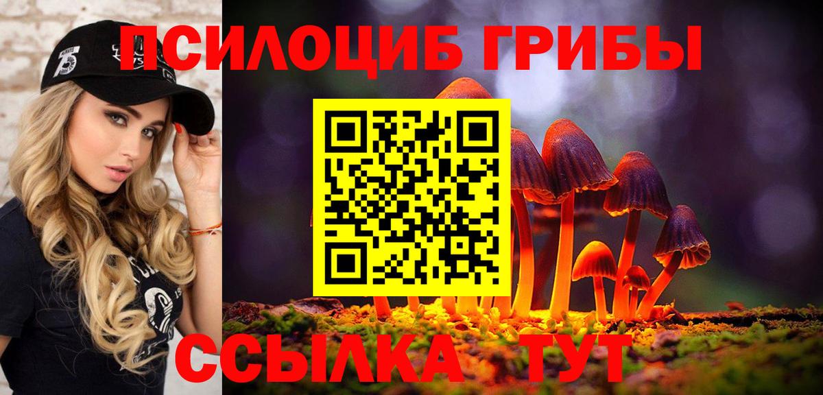 Псилоцибиновые грибы мухоморы Дубна